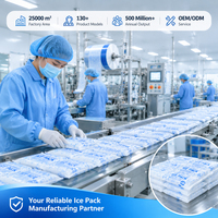 Herbruikbare zelfabsorberende icepack voor medische koudeketen, platte watergeactiveerde koelpack voor vis, vlees, fruit en groenten