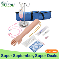 Modelo de enseñanza de Entrenamiento Educativo médico brazo de práctica IV entrenamiento de inyección brazo de entrenamiento IV