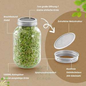 Juego de Germinación de Bambú Ecológico y Duradero con Asa y Bandejas de Cultivo para Germinar Semillas y Brotes - Product Image 4
