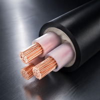 Cable de Tierra de Cobre Armado con Aluminio y Aislamiento de PVC YJV/YJV22/YJV32 Personalizado para Aplicaciones de Bajo Voltaje