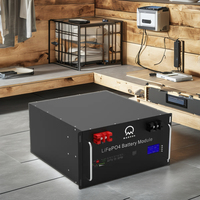 Pabrik Madsun Grosir Baterai LiFePO4 Rakit 15KWH 51.2V 48V 300Ah 314Ah 280Ah 200Ah OEM 48V 51.2V Baterai Lithium Ion