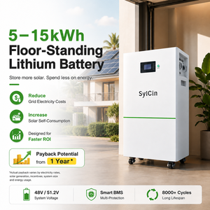 Batería de Litio de 51.2v 100ah, 48v 300ah, 15kwh, Personalizada, OEM ODM, de Pie, para Instalación en Suelo - Product Image 2