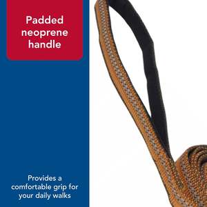 Coastal K9 Explorer perro reflectante con tijera Snap correa de nailon duradera correas y cachorros suministros para mascotas para perros-fogata - Product Image 5