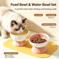 Gamelle surélevée en céramique pour animaux de compagnie – Bol texturé double usage pour nourriture et eau pour chats et petits chiens – Vente en gros