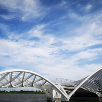 Puente Peatonal de Estructura de Acero para Ferrocarril, Diseño Profesional de Fábrica China, en Venta