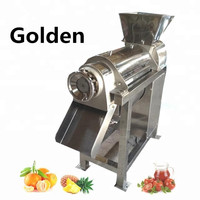 Presse-agrumes à froid commercial, extracteur de jus de fruits industriel, machine à jus de gingembre
