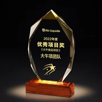 Trophée élégant en cristal transparent avec base en bois pour les compétitions sportives et la reconnaissance des entreprises, gravure personnalisée