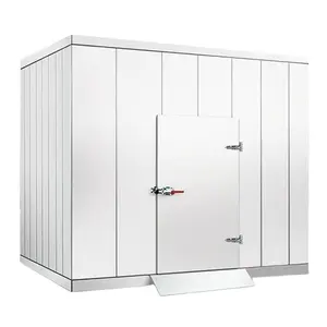 Cool room storage modular cooler fish panels meat storage mini cold room cold storage