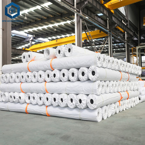 HDPE Tấm Nhựa 1.5Mm Linh Hoạt Polypropylene Màng Đất Cho Xử Lý Nước Thải Trong Singapore - Product Image 6