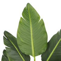 Oiseau artificiel vibrant de luxe au Design indépendant, arbre, bonsaï avec feuilles en soie, adapté pour la maison, 400x80cm