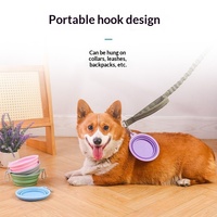 Bol pliable pour animaux de compagnie, léger, en plastique, manuel, solide, étanche IPX7, pour chats et chiens, petits animaux, utilisation en voyage
