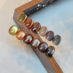 AILANUO 6-color tortoiseshell tea Series cat's Eye <b>Gel</b> <b>nail</b> Polish series 15ml cat's eye <b>gel</b> Polish TPO Free Hema Free OEM ODM - Product Image 2