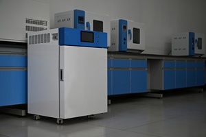 Incubadora de Dióxido de Carbono Co2 de 80L, Incubadora con Cámara de Aire para Cultivo Celular de Laboratorio - Product Image 5