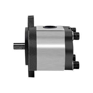 Pompes à engrenages hydrauliques de haute qualité 20 25mpa Cbn engrenage de micro pompe hydraulique haute pression Compatible avec le chargeur - Product Image 4