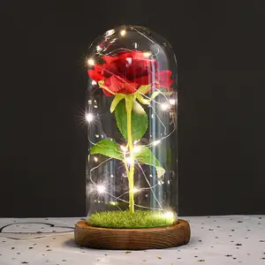 情人节圣诞礼物创意礼物装饰不朽玫瑰带玻璃罩发光二极管灯