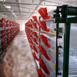 <span class=keywords><strong>Cage</strong></span> de caille automatique professionnelle de haute qualité <span class=keywords><strong>Cage</strong></span> à oiseaux de caille Cages de caille pour la production d'œufs - Product Image 5