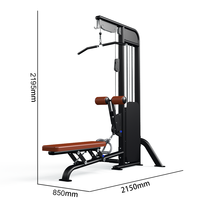 Machine Commerciale de Lat Pulldown et de Rameur pour la Musculation et le Fitness en Club de Gym