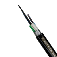 Cable de fibra óptica de 12 a 96 núcleos Cinta de acero enterrada directa Cable de fibra óptica de doble vaina blindado Gyta53