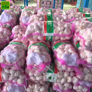 2023 ail frais grossiste d'exportation d'ail de haute qualité bawang putih / kating 5.5cm ail blanc frais biologique Petit paquet