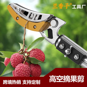 Hiroki Oka Fruit Picking Shears 100mm Carbon Steel Telescopic High Branch Garden Scissors For Lychee Longan Harvesting - Product Image 4