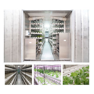 Conteneur de culture de légumes verts à feuilles pour serre Système agricole Conteneur de ferme vertical pour la culture de légumes - Product Image 2