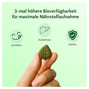 Gomitas para el Hígado Liver <span class=keywords><strong>Forte</strong></span> OEM TK, Éxito de Ventas en Amazon, Favorecen la Salud del Hígado con Sabor a Jengibre, 60 Gomitas - Product Image 4