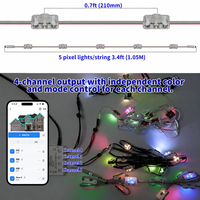 Lumières de vacances LED permanentes à commande intelligente, extérieur, étanches IP68, 1,02 W, 4 fils, 48 V, LED pixel RVB
