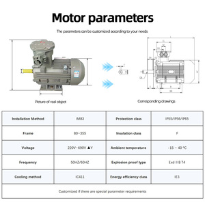 มอเตอร์ไฟฟ้ากระแสสลับแบบอะซิงโครนัสสามเฟส Innomotics 1MB0063 2.2KW~200KW 750Rpm ป้องกันการระเบิด 380V/660V IC411 IE3 50Hz - Product Image 3
