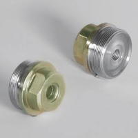 Pièces d'injection diesel de haute qualité, bouchon central de pompe d'injection VE, 096417-0040 096566-0011, pièces de moteur diesel.