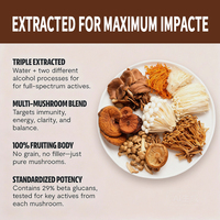 Capsules d'extrait de champignons en marque blanche OEM, mélange de 6 champignons, 12,1 % d'extrait, 29 % de bêta-glucanes, 120 capsules