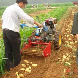 Cosechadora de patatas y cebollas para agricultura, máquina cosechadora de patatas dulces de una hilera a la venta