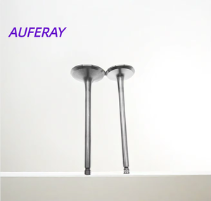 Thiết kế tùy chỉnh mới 92089885 92089886 van động cơ 23*5*100 26*5*99 van xả động cơ cho GM - Product Image 4