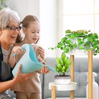 Support à plantes en bambou à 3 niveaux, support d'angle pour pots de fleurs, présentoir rond pour plantes, étagère autoportante pour balcon, jardin, maison