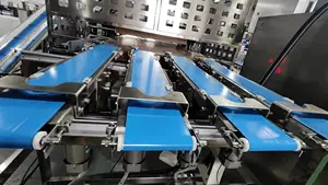 Hot Sell Automatische Armenian Flat Brood Productielijn Voedsel Fabriek Productielijn Van Deeg Voor Lavash Machine Lavash