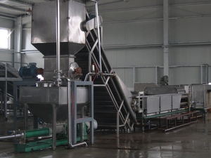 Línea de Producción de Frutas y Verduras, Máquina de Procesamiento de Uvas, Línea de Producción de Frutas - Product Image 4