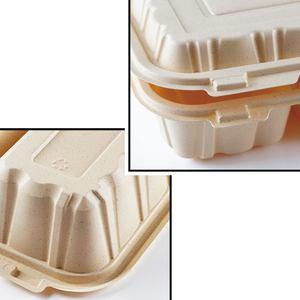 Lấy đi thực phẩm <span class=keywords><strong>container</strong></span> dùng một lần Hộp Ăn Trưa với nắp lò vi sóng 2 ngăn phân hủy sinh học bao bì món ăn cho nhà hàng - Product Image 4