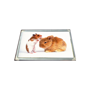 Écran LCD LM170E03-TLG6 16,7M LVDS 17,0 pouces 1280*1024 - Product Image 1