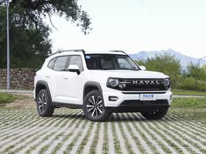 GWM Haval Big Dog PLUS, SUV équipés d'une technologie de réduction du bruit de haut niveau, véhicules essence - Product Image 1