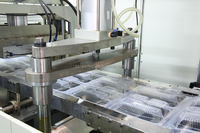 Hochwertige PVC PLA Biologisch abbaubare Kunststoffe Lebensmittel behälter Tiefzieh maschine