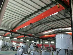 Grúa Puente de Doble Viga de Alta Resistencia con Mecanismo de Elevación Robusto - Product Image 5