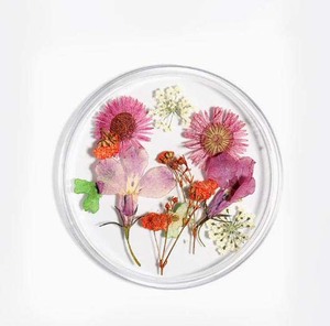 <span class=keywords><strong>Flores</strong></span> <span class=keywords><strong>secas</strong></span> prensadas Nail Art, decoración 3D de <span class=keywords><strong>flores</strong></span> <span class=keywords><strong>secas</strong></span> reales para <span class=keywords><strong>uñas</strong></span> <span class=keywords><strong>acrílicas</strong></span> en Gel UV - Product Image 4