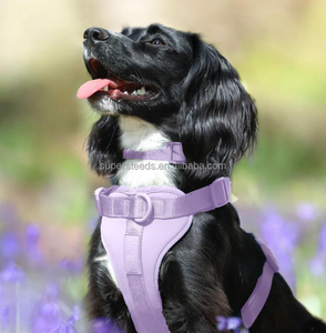 Collare per Cani di Lusso dal Design Tattico, Regolabile, Impermeabile, in Nylon Rivestito in PVC, con Sgancio Rapido e Guinzaglio Incluso, Taglie <span class=keywords><strong>S</strong></span> M <span class=keywords><strong>L</strong></span> - Product Image 3