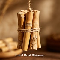 Gedroogde rietwortel grondstof voor kruidenthee, dranken, zoete kruiden, wierook, zeep, masker, shampoo en extractproductie
