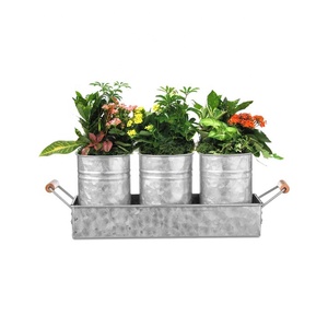 Erba da giardino fioriera Set con vassoio in metallo davanzale per finestre vaso per <span class=keywords><strong>piante</strong></span> con Set di drenaggio per <span class=keywords><strong>piante</strong></span> da esterno o da interno - Product Image 2