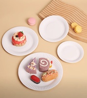 Assiettes en papier jetables de différentes tailles, assiettes en papier de qualité alimentaire, impression personnalisée pour le camping, les pique-niques, les restaurants, les plats à emporter