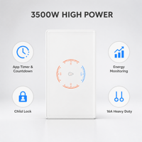 Presa Intelligente WiFi AG Skin-Feel 2.5D in Vetro 3500W con Controllo Touch / Smart Life, Doppio Interruttore per Scaldabagno, Timer Locale, Statistiche Energetiche