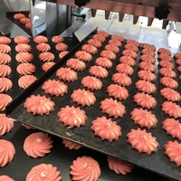 Machine de production de biscuits entièrement automatique, rouleau, très populaire