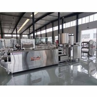 Machine automatique de peau de tofu Équipement de production de beancurd pour l'usine de produit de soja