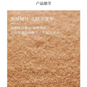 พรมเช็ดเท้าหน้าประตู Cangming ลายใยมะพร้าวเทียม ขนาด 8.5 ฟุต ซักได้ สไตล์โมเดิร์น - Product Image 4