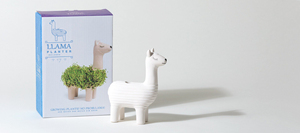 Vendita di fabbrica certificato Sedex graines de chia bio garden grow kit <span class=keywords><strong>fai</strong></span> <span class=keywords><strong>da</strong></span> <span class=keywords><strong>te</strong></span> lama per chia pet fioriera vasi carini per piante regalo - Product Image 3